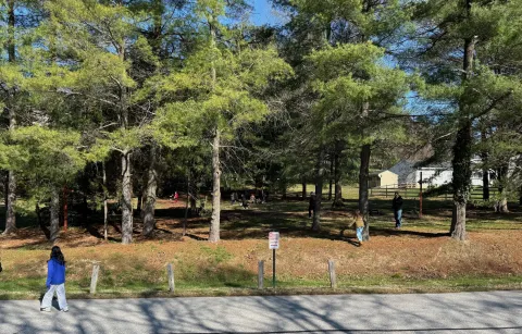 2026 Easter Egg Hunt1
